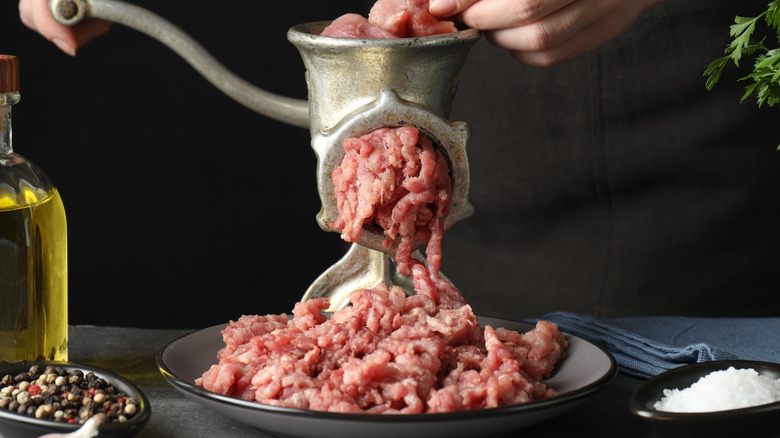 Person making ground meat with meat grinder