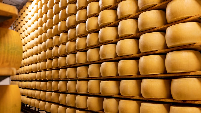 Rows of Parmigiano Reggiano