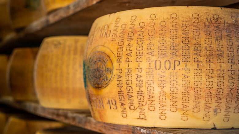 Wheel of parmigiano reggiano