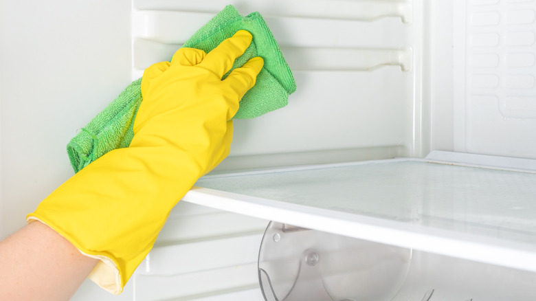 Person cleaning inside of refrigerator