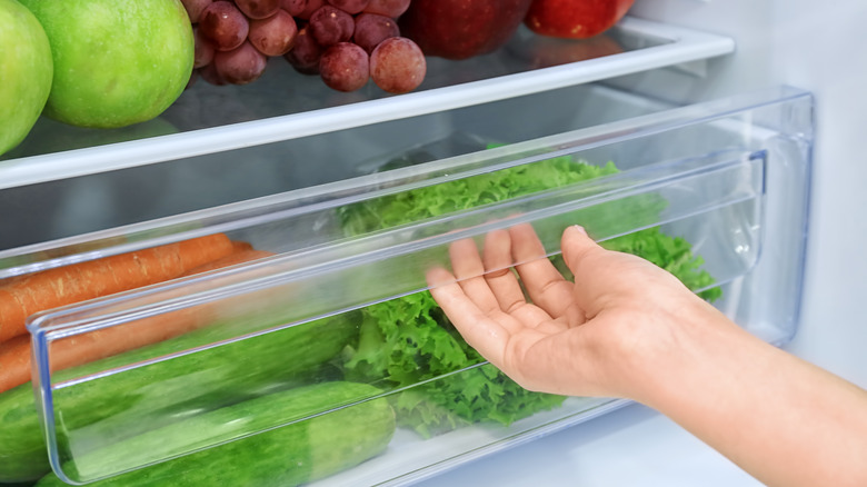 Hand opening refrigerator drawer