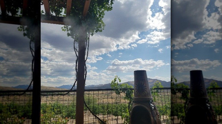 Charron Vineyard and Winery Arizona