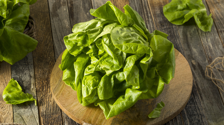 Butter lettuce on brown wood