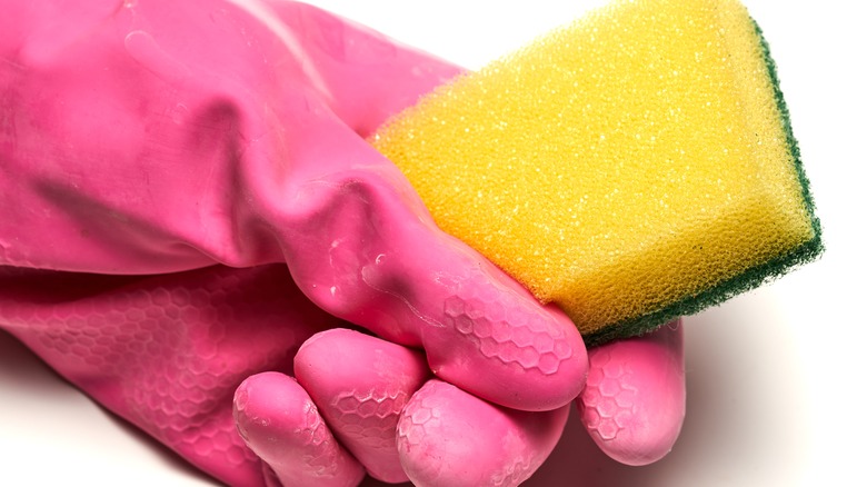 pink glove holding sponge