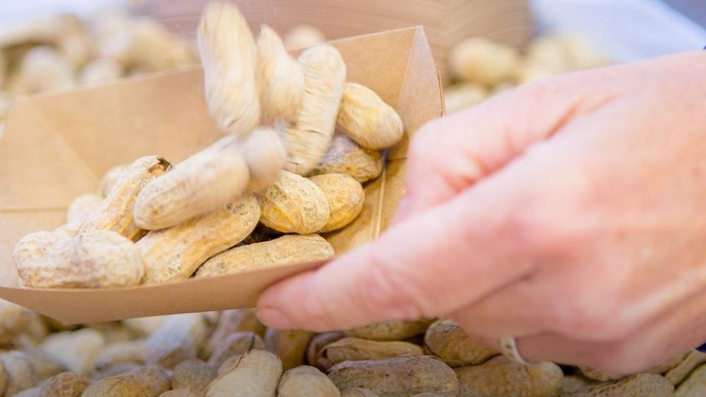 five guys worker with peanuts