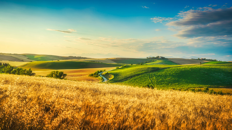 tuscany italy