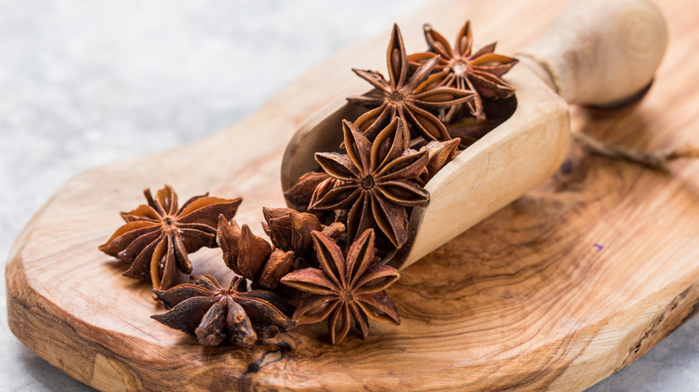 Star Anise cloves in scooper on wooden block