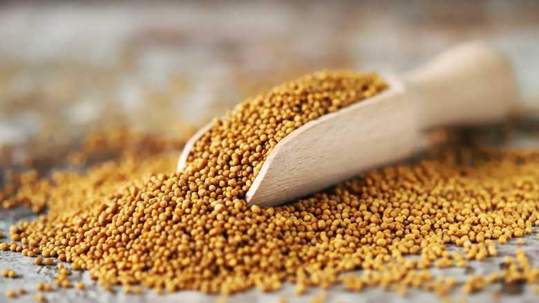 Mustard seeds in wooden scooper