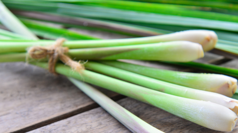 Harvested lemongrass