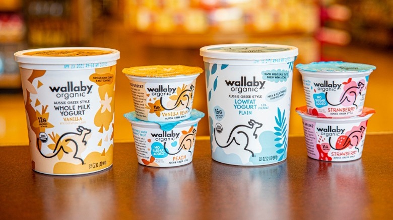 Variety of Wallaby Organic Yogurt Containers on Countertop