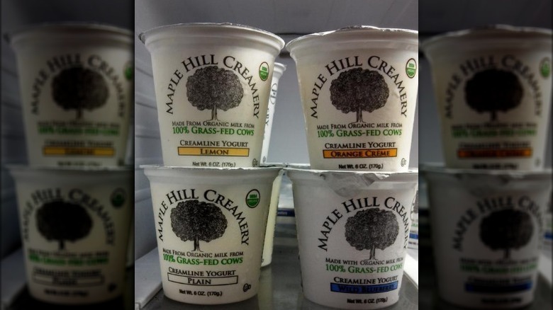 Stack of Maple Hill Yogurt in fridge