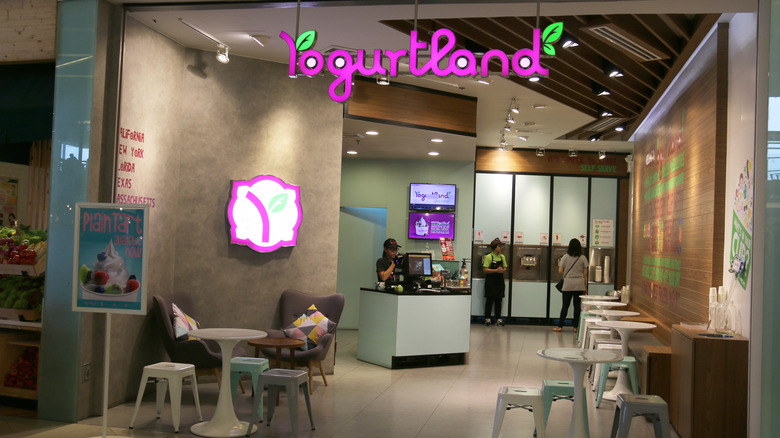 Yogurtland shop