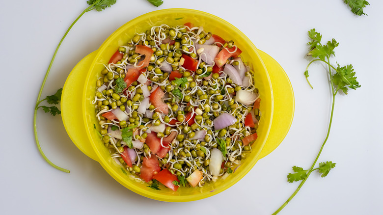 Bean sprouts with onions, tomatoes, and chilies