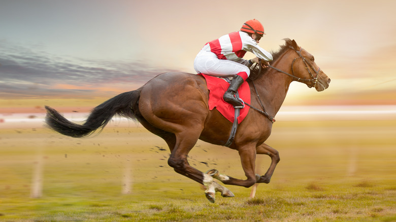 Racehorse with jockey riding it