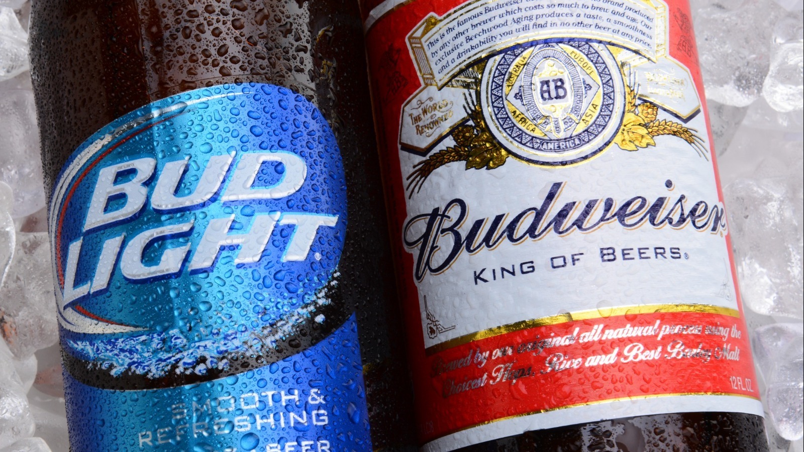 Bud Light Offers One Lucky Winner Super Bowl Tickets for a Lifetime