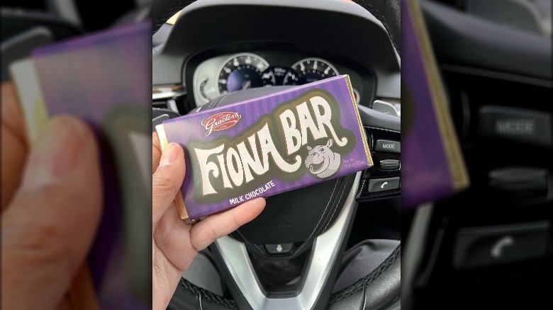 Graeter's Fiona milk chocolate bar close-up