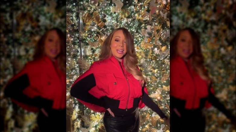 Mariah Carey with Christmas tree in penthouse