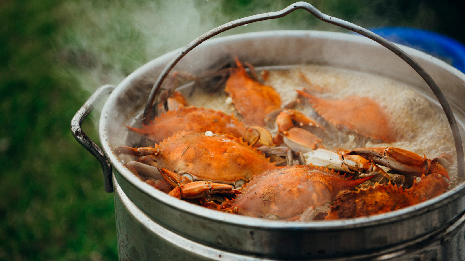 You May Want To Think Twice Before You Boil Crab. Here's Why