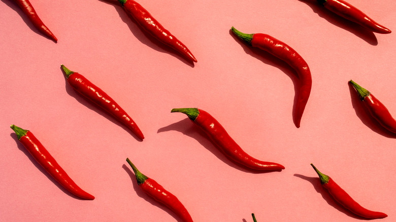 Chili peppers on a pink background