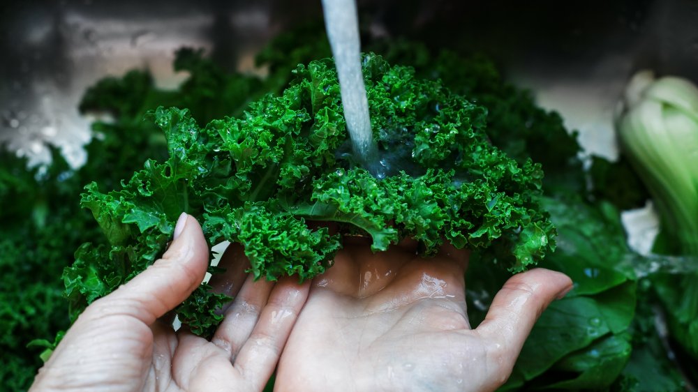 washing kale