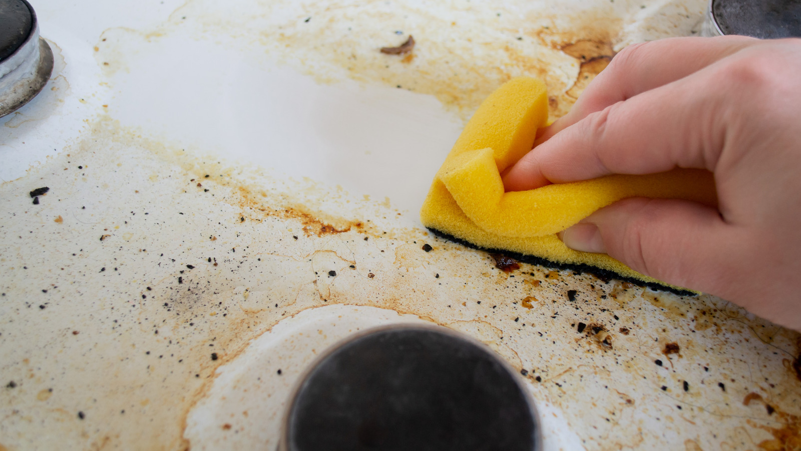 Dangerous Bacteria Lingers in Kitchen Dish Sponges