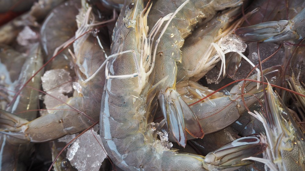 Pile of raw shrimp