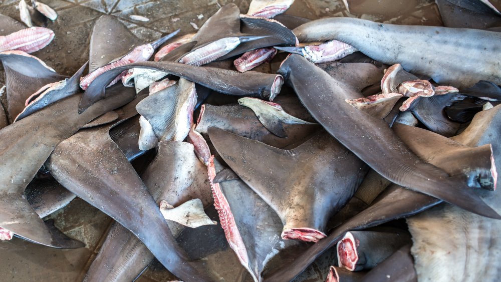 A pile of shark fins