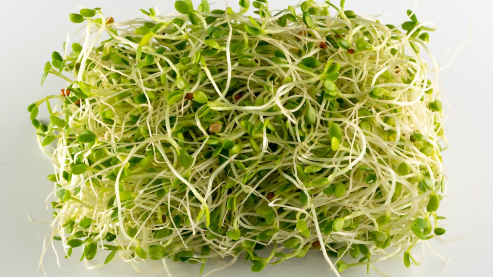 you-should-never-order-sprouts-at-a-restaurant-here-s-why