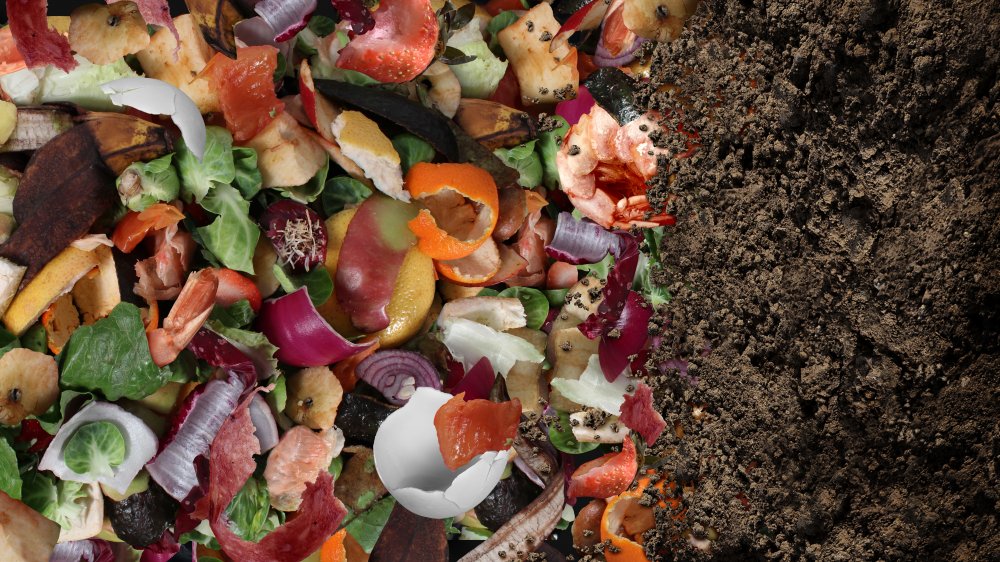 Compost scraps soil