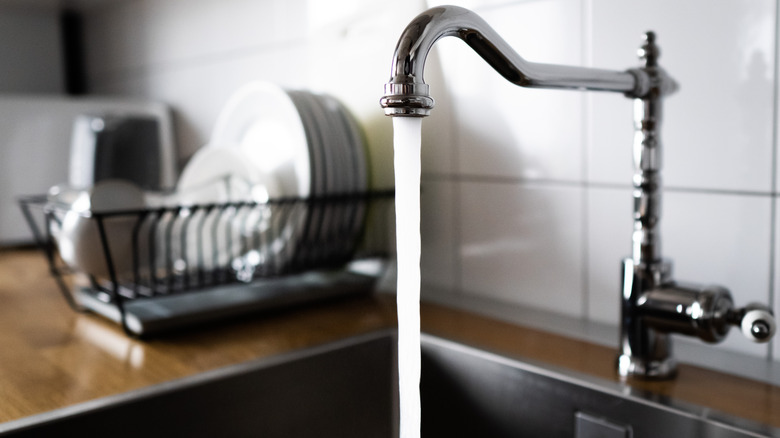 Stainless steel sink