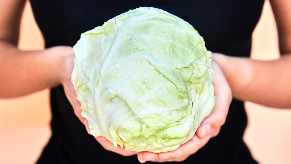 Woman holding head of cabbage