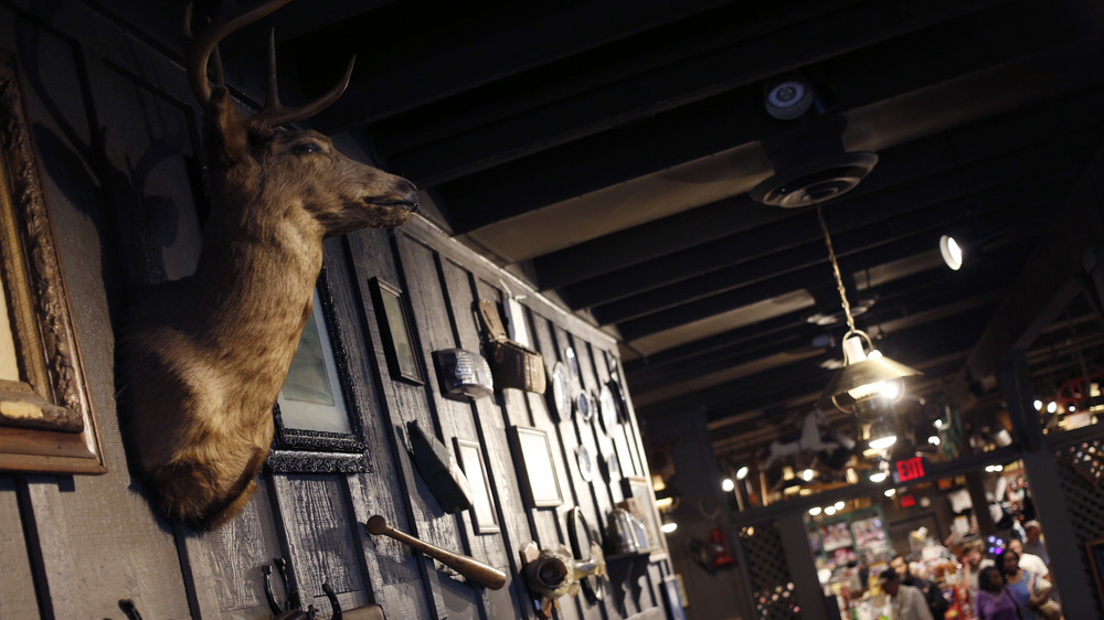 Deer head on a wall at Cracker Barrel