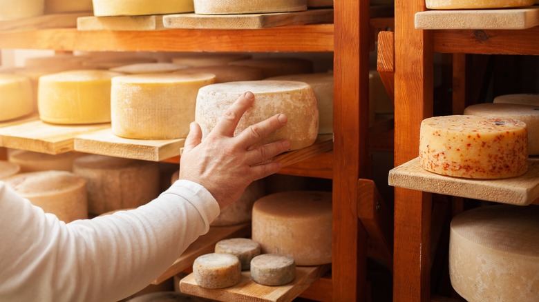 cheeses in cheese shop