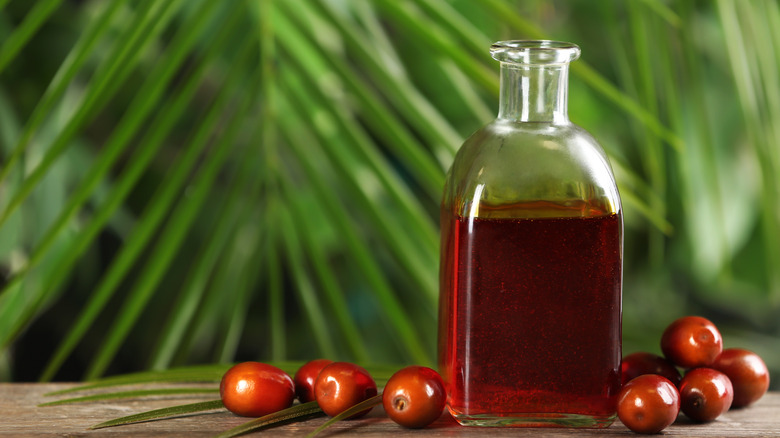 palm fruit, oil, and leaves