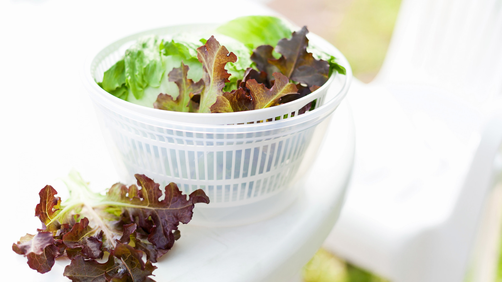 How to Use a Salad Spinner to Clean Your Greens