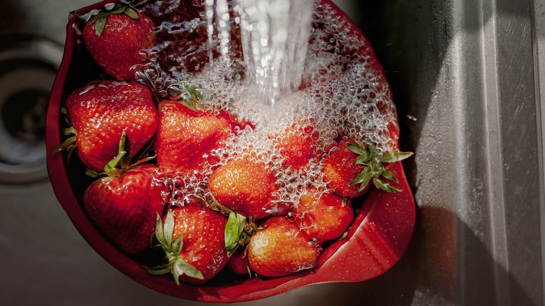 Strawberries being washed in sink