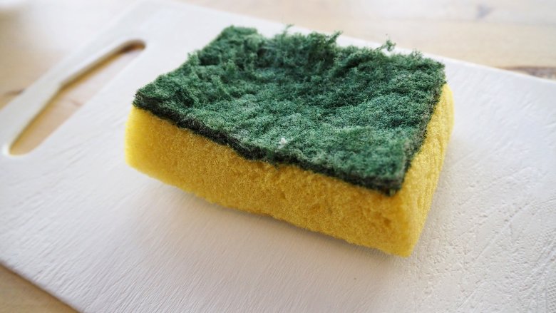 You Re Using Your Kitchen Sponge Totally Wrong