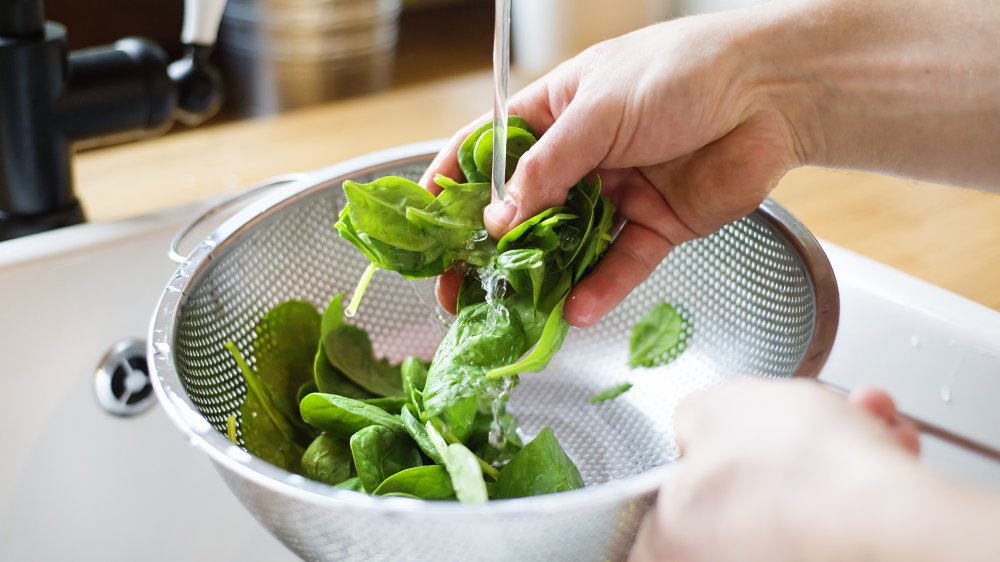 washing spinach leaves in colander