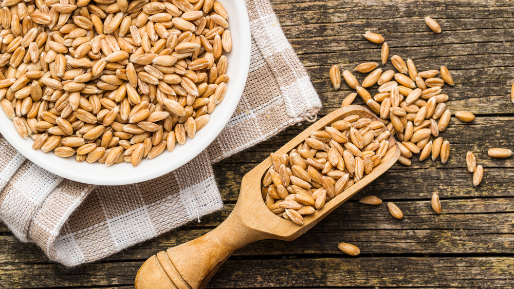 Uncooked farro and a wooden scoop