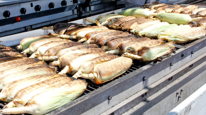 corn cobs in husks on grill