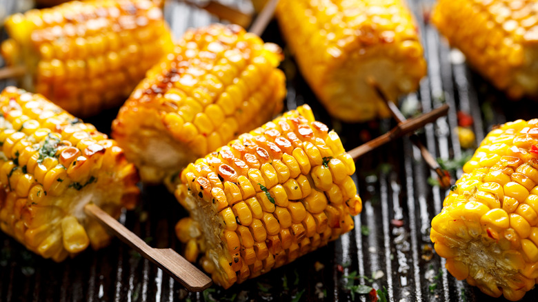 corn on a grill