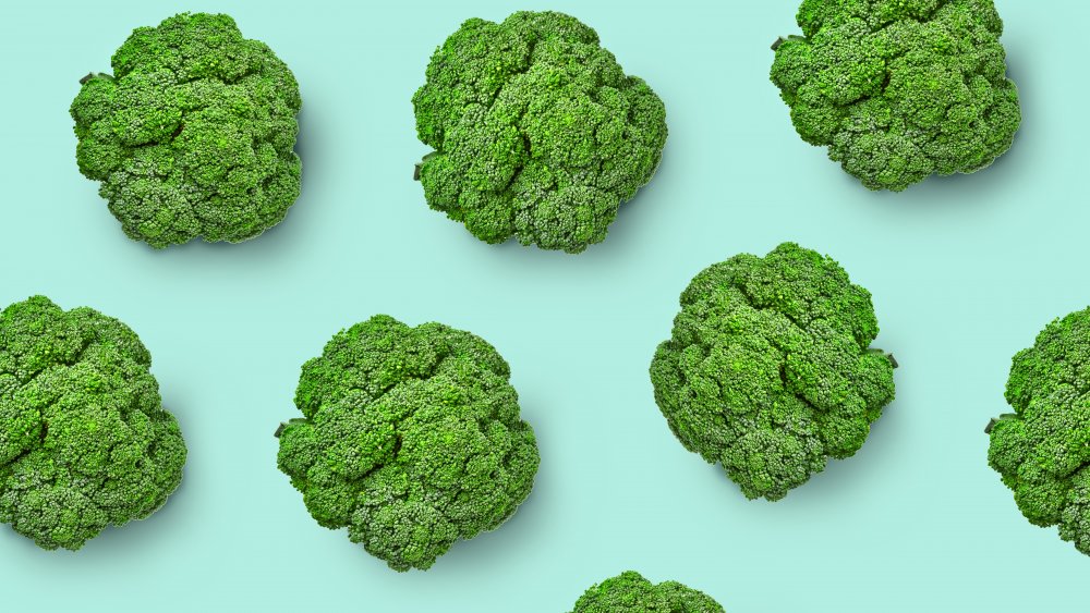 fresh broccoli on a blue background