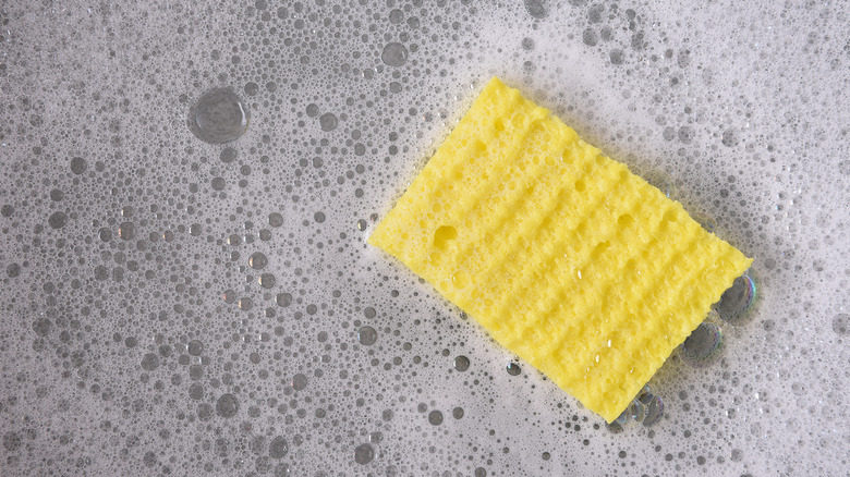 sponge floating in sink of soapy water