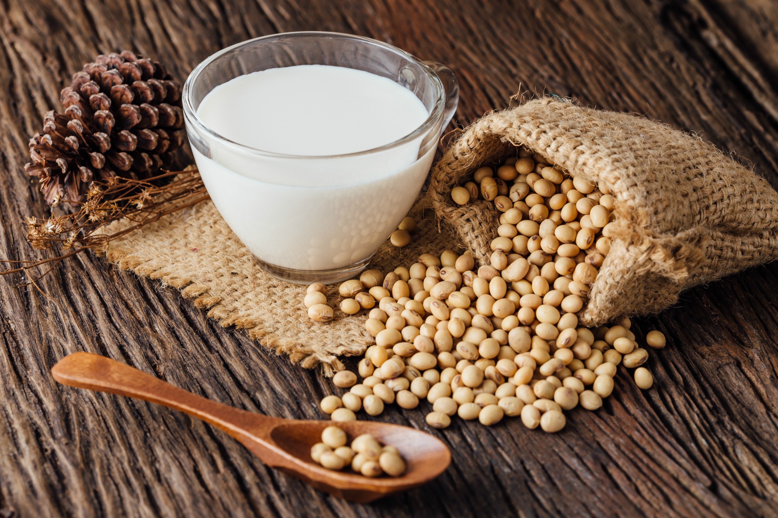 Everything You Need To Know About Soy Milk